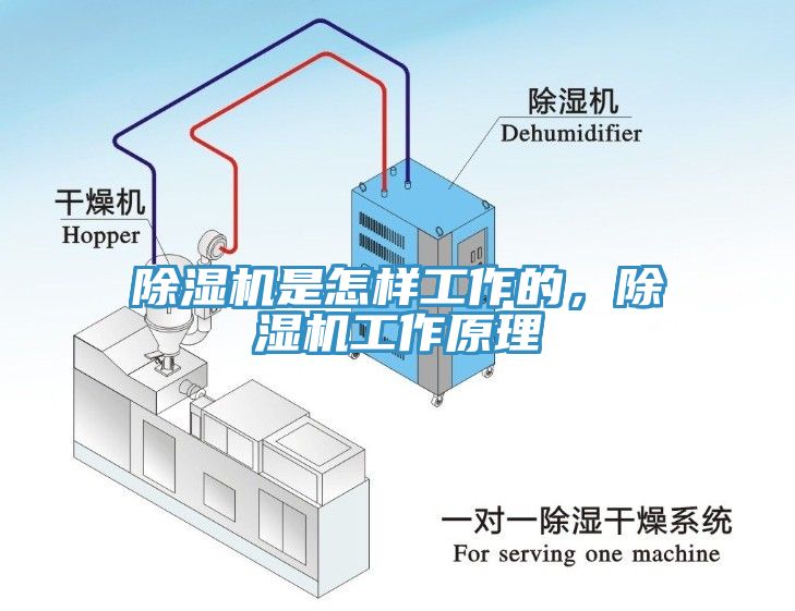 91香蕉视频下载网站是怎样工作的，91香蕉视频下载网站工作原理