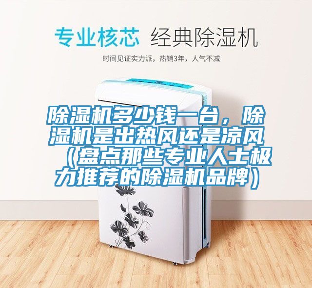 91香蕉视频下载网站多少钱一台，91香蕉视频下载网站是出热风还是凉风（盘点那些专业人士极力推荐的91香蕉视频下载网站品牌）