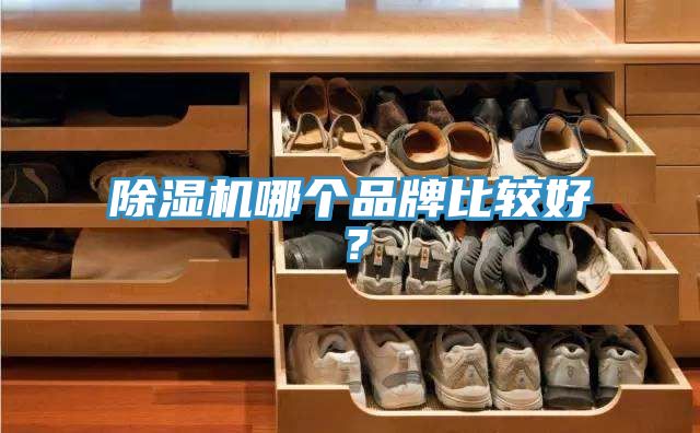 91香蕉视频下载网站哪个品牌比较好？