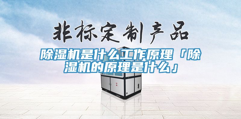 91香蕉视频下载网站是什么工作原理「91香蕉视频下载网站的原理是什么」