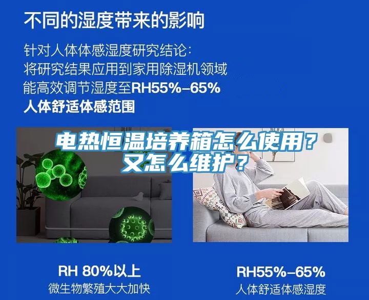 电热恒温培养箱怎么使用？又怎么维护？