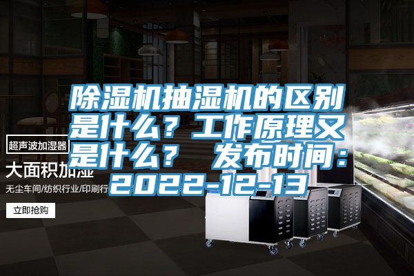 91香蕉视频下载网站抽湿机的区别是什么？工作原理又是什么？ 发布时间：2022-12-13