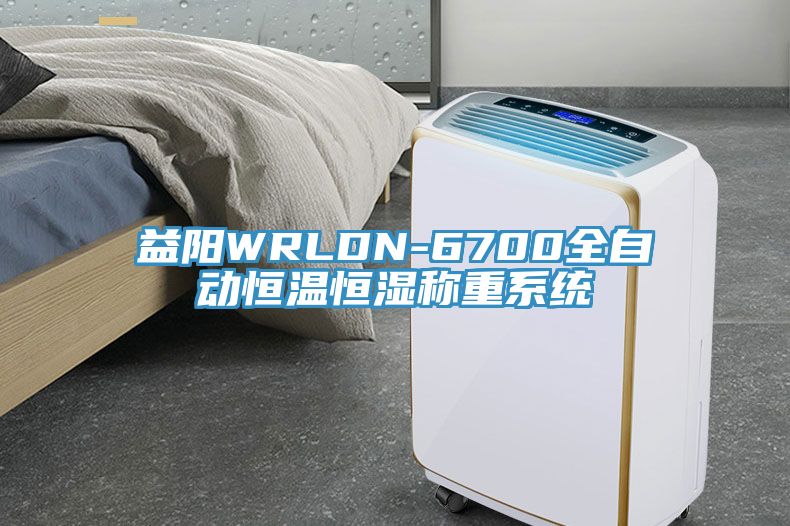 益阳WRLDN-6700全自动恒温恒湿称重系统